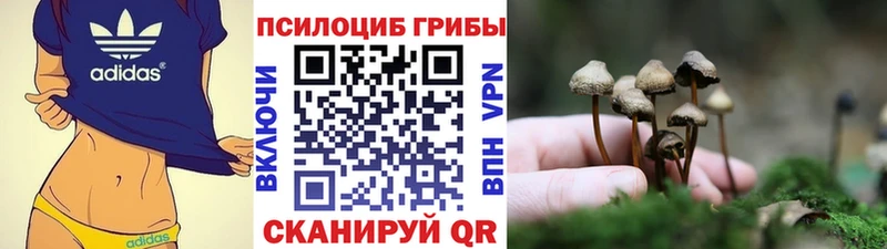 Купить где  Новотитаровская  Галлюциногенные грибы прущие грибы 